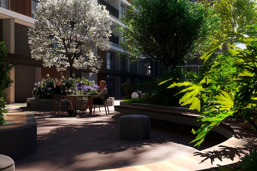 Alberi_0001_PIEAL_Boulevard